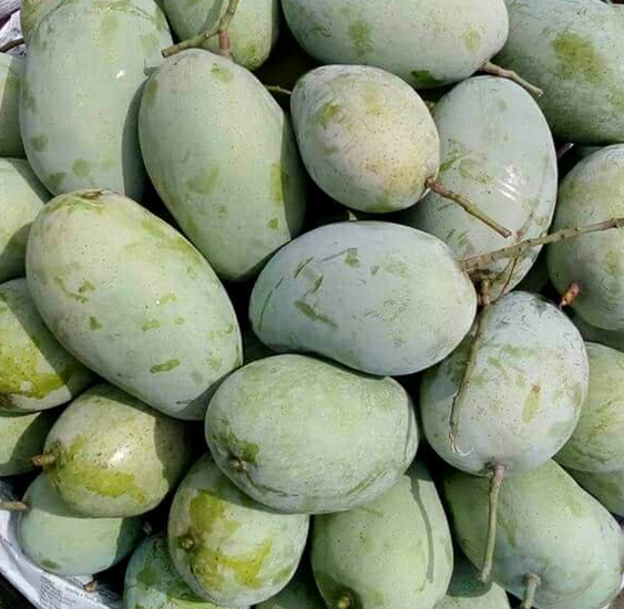 Fazli mango for family and bulk cartons