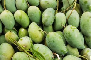 Amrapali mango for late-season orders